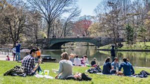 NYC Myths Debunked Central Park is the city’s only must-see green space