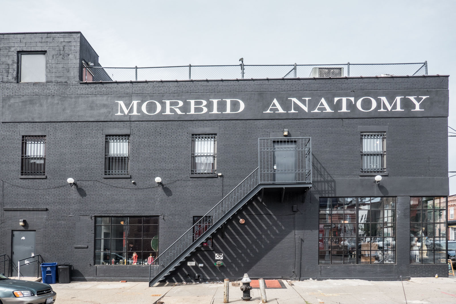 Morbid Anatomy Museum Brooklyn