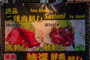 horse and whale sashimi in Tokyo Japan