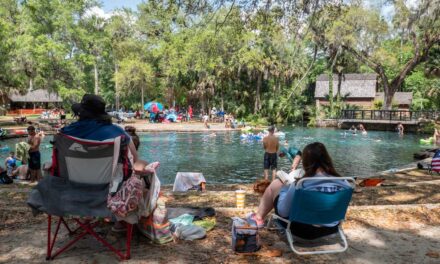 9 things to do in Central Florida (beyond Disney and the beaches)