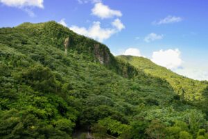 Puerto Rico El Yunque National Forest by David Adorno